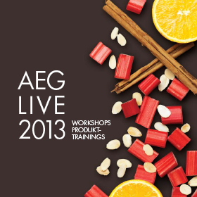 AEG Workshop Broschüre